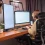 How Ergonomic Office Chairs Improve Comfort and Focus