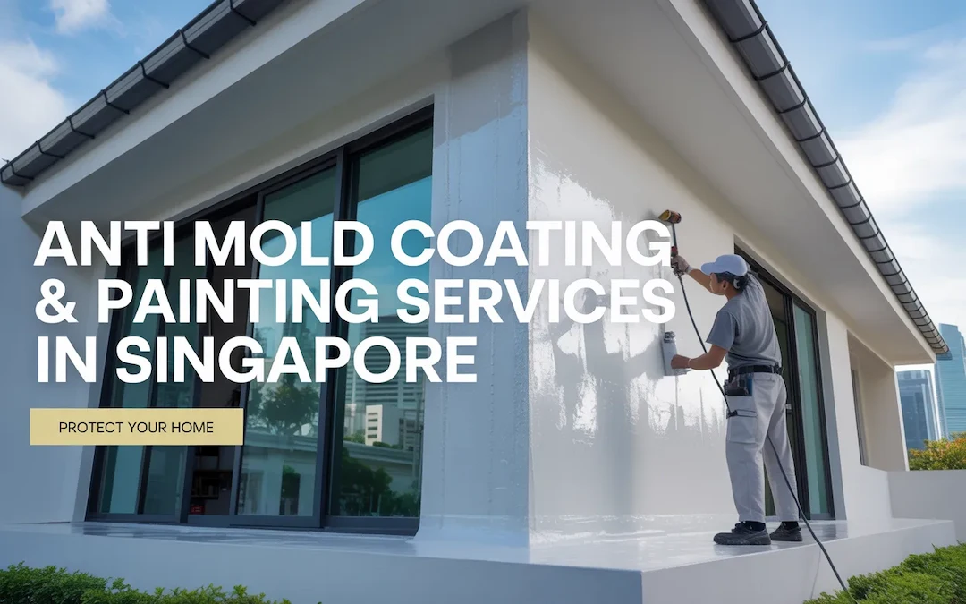 How Can Anti Mold Coating & Painting Services in Singapore Protect Your Home?